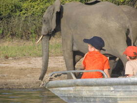 Two children observe a majestic elephant from their boat, capturing a memorable wildlife encounter in nature.