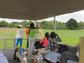 A group of guests enjoys wildlife watching from the deck of a boat, capturing the scenic views of nature. Perfect for eco-tours and adventure seekers.