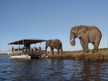 Kalahari Under Canvas
