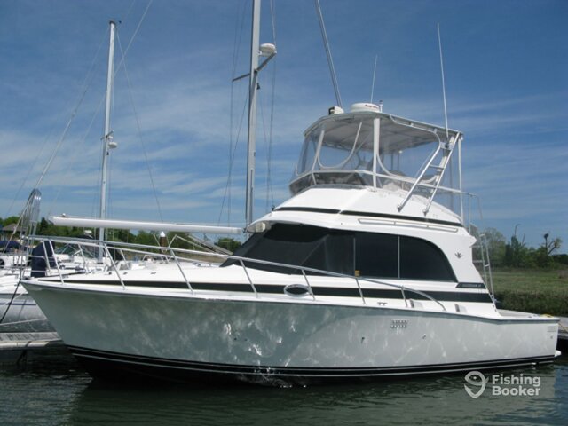 Listing image 1178750