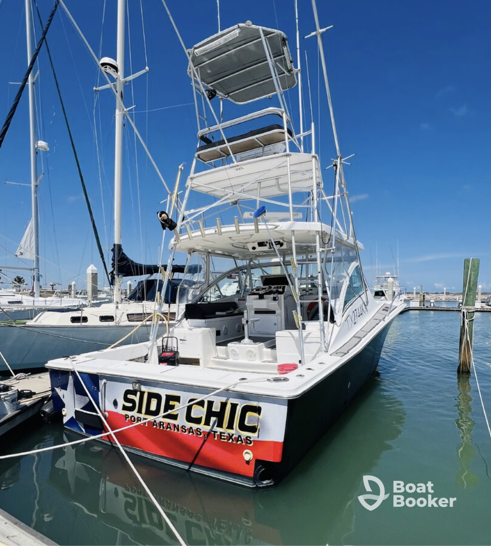 Private Dolphin & Sunset Tours