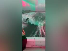A dolphin leaps from the water alongside a boat, showcasing a thrilling wildlife encounter on the water.