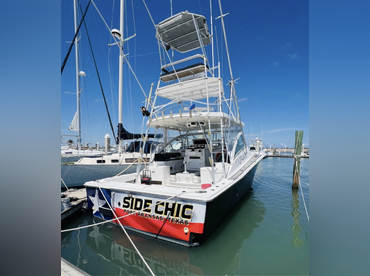 Private Dolphin & Sunset Tours