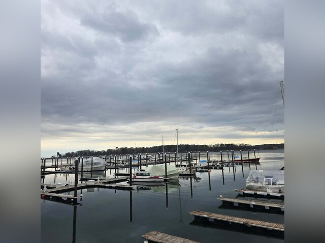 Listing image 1178821