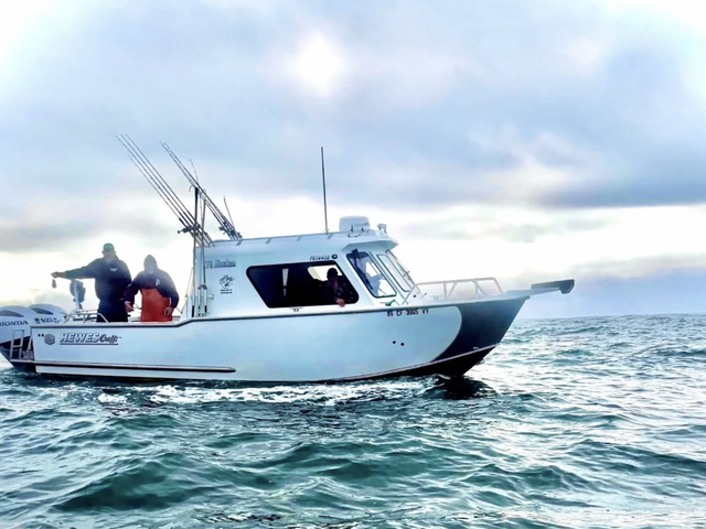 Listing image 1180275