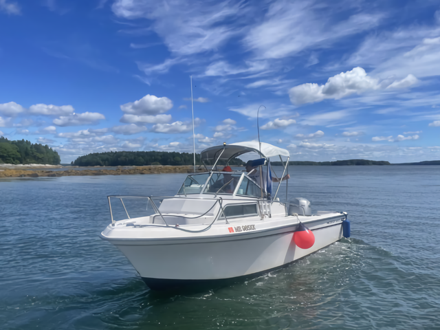 Listing image 1179621