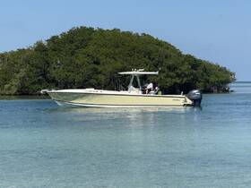 An Intrepid boat navigates through serene waters surrounded by lush mangroves, showcasing a perfect day for exploration on the water.
