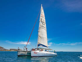 A lively catamaran sailing on the ocean with guests enjoying the sun and sea — perfect for adventure seekers and sailing enthusiasts.