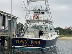 A well-maintained fishing boat named 'Town Fish' docked at a serene waterfront, showcasing its sturdy design and readiness for fishing adventures.