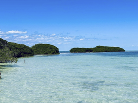 A stunning view of a tranquil coastline featuring lush mangroves and clear waters, perfect for exploring the natural beauty of the area.