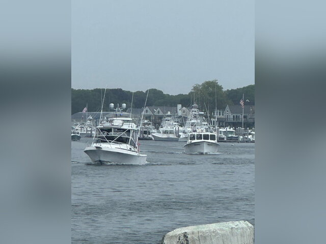Listing image 1179610