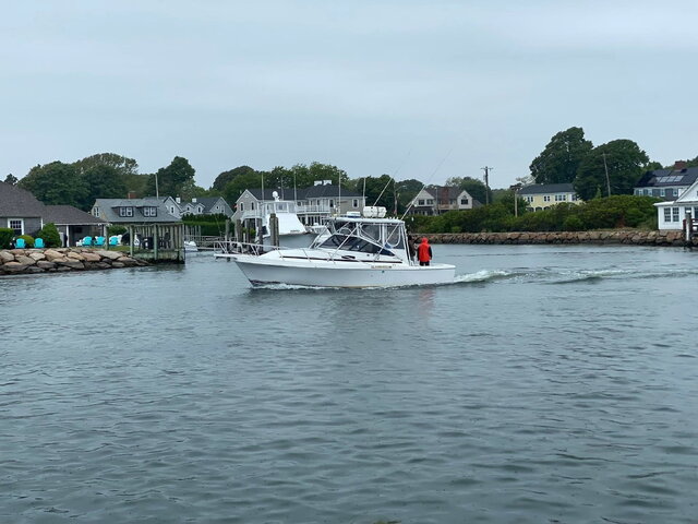 Listing image 1179611