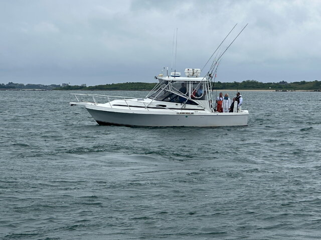 Listing image 1179630