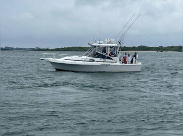 Obsession Tours – Martha's Vineyard