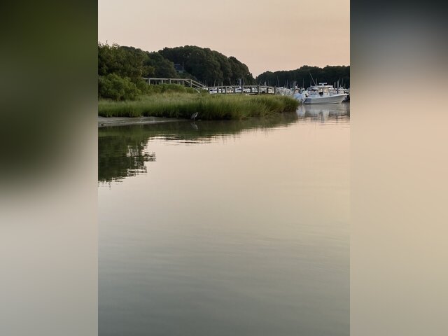 Listing image 1179672