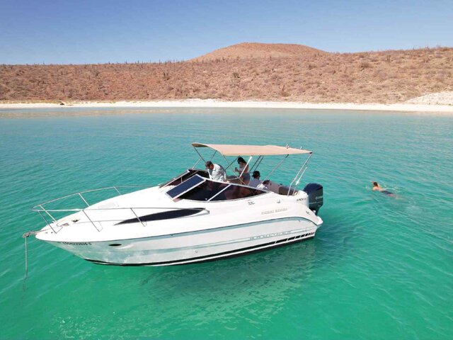 Listing image 1179696