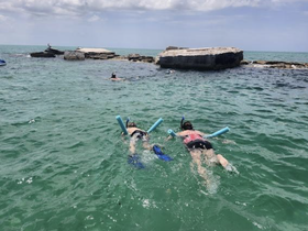 Two snorkelers explore the vibrant underwater world, showcasing the excitement of ocean adventures and group activities in a beautiful setting.