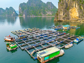 Aerial view of a vibrant floating fishing village with multiple boats and scenic limestone cliffs in the background, showcasing the unique lifestyle on the water.