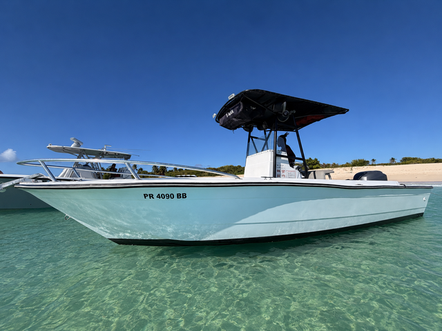 Listing image 1181618
