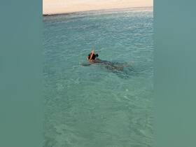 A snorkeler explores the vibrant underwater world in crystal-clear waters, showcasing the beauty of marine life and perfect for adventure seekers.