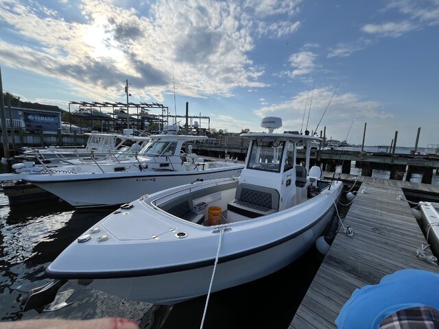 Listing image 1180476