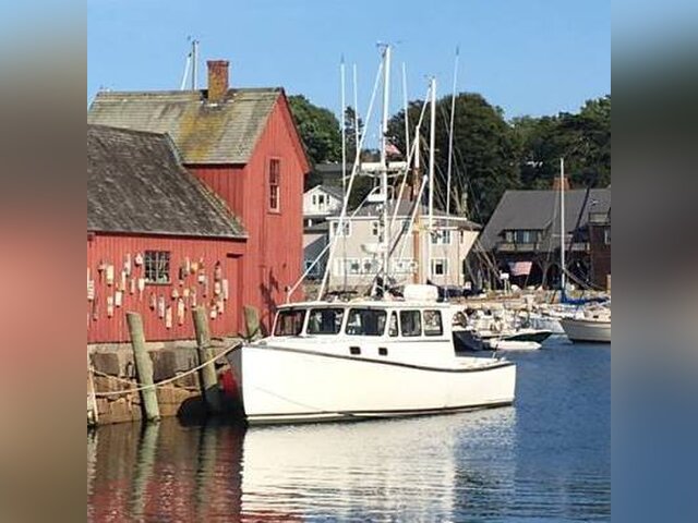 Listing image 1180609