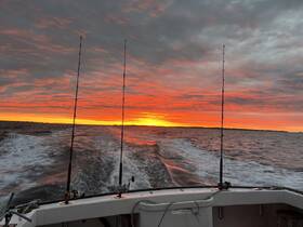 Charter Image