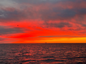 A breathtaking sunset paints the sky in vibrant hues over the ocean, creating a picturesque backdrop perfect for evening boat cruises.