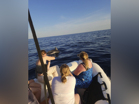 Charter Image