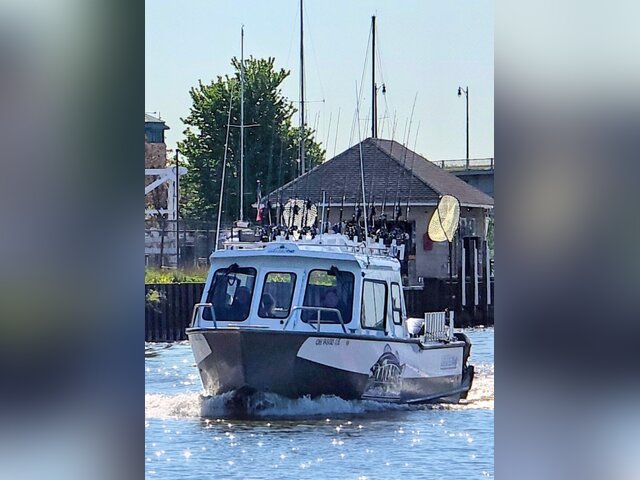 Listing image 1180821