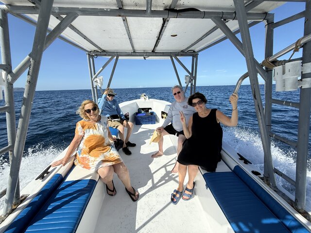 Listing image 1180848