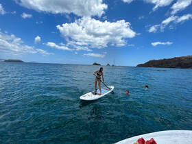 A fun day on the water featuring paddleboarding and swimming, with beautiful island scenery in the background — perfect for adventurous outings.