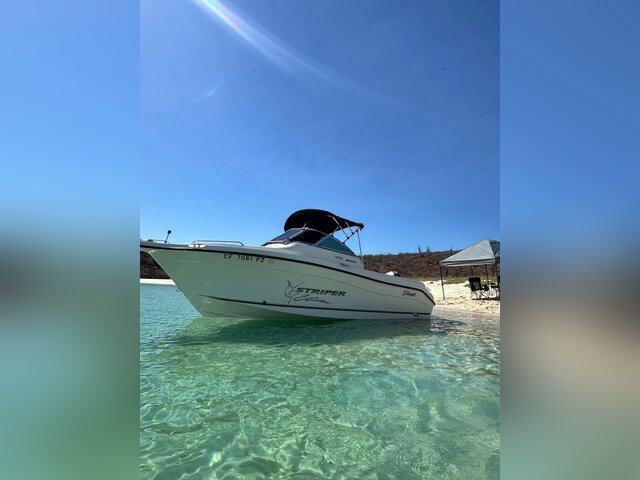 Listing image 1180866