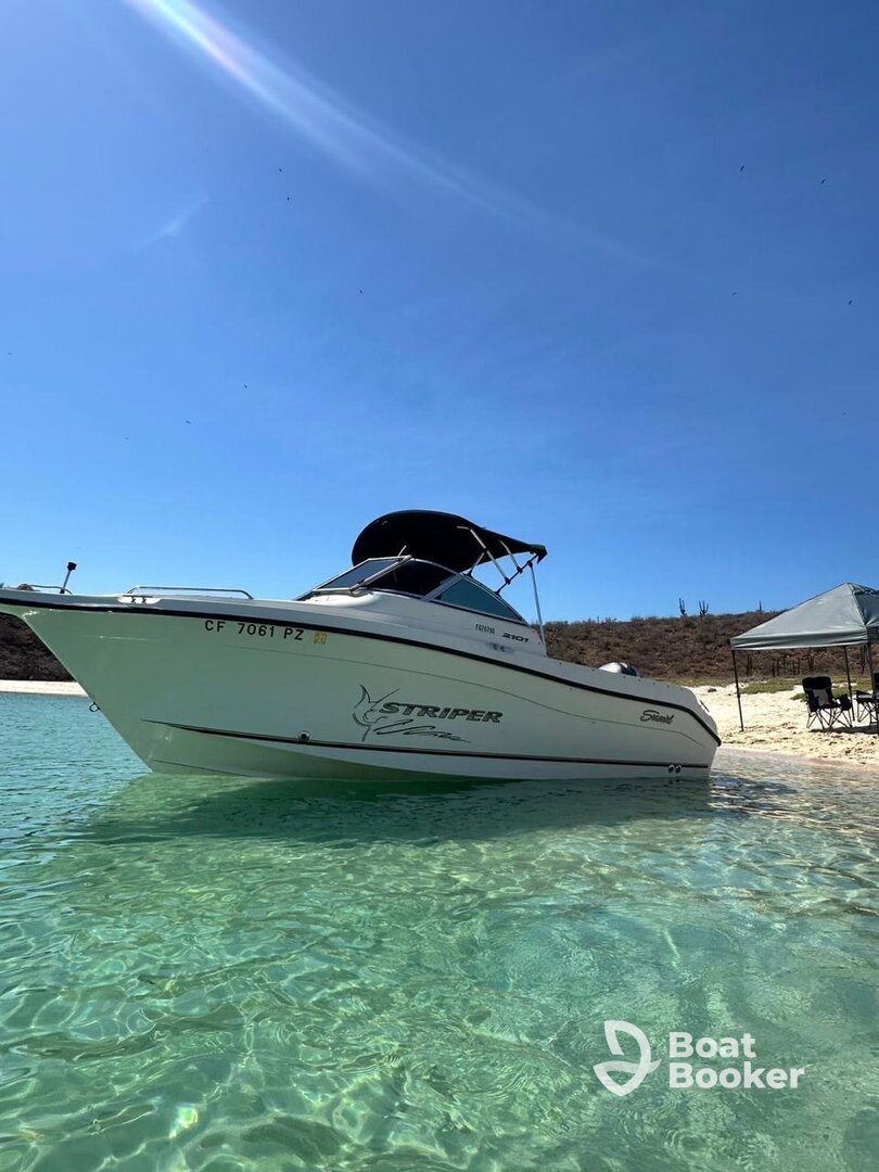 Striper 2101 MC Yachts Company
