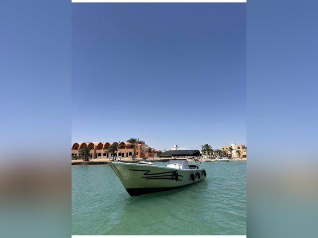 Listing image 1182803