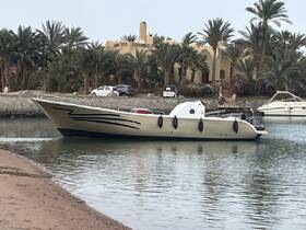 A sleek boat docked in calm waters, surrounded by lush palm trees and a scenic backdrop, perfect for leisurely outings.