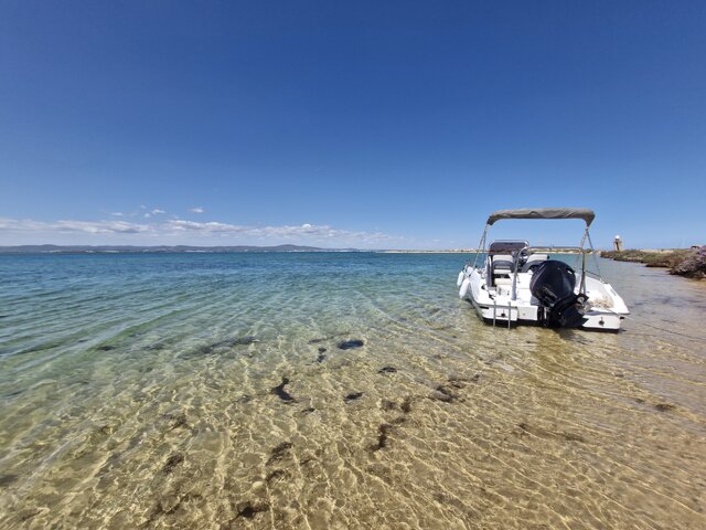 Listing image 1181058