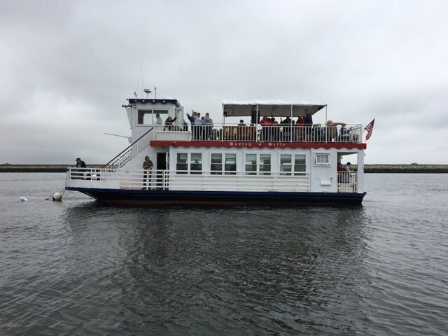 Listing image 1182174
