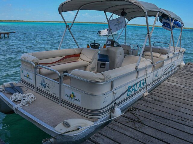Listing image 1182678