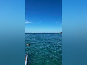 Charter Image