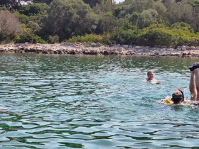 A group enjoys a refreshing swim in clear waters, perfect for snorkeling and beach activities — a great way to experience the beauty of nature.