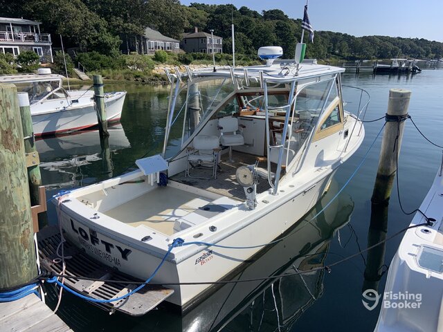 Listing image 1181515