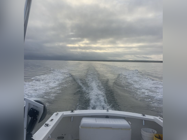 Listing image 1182196