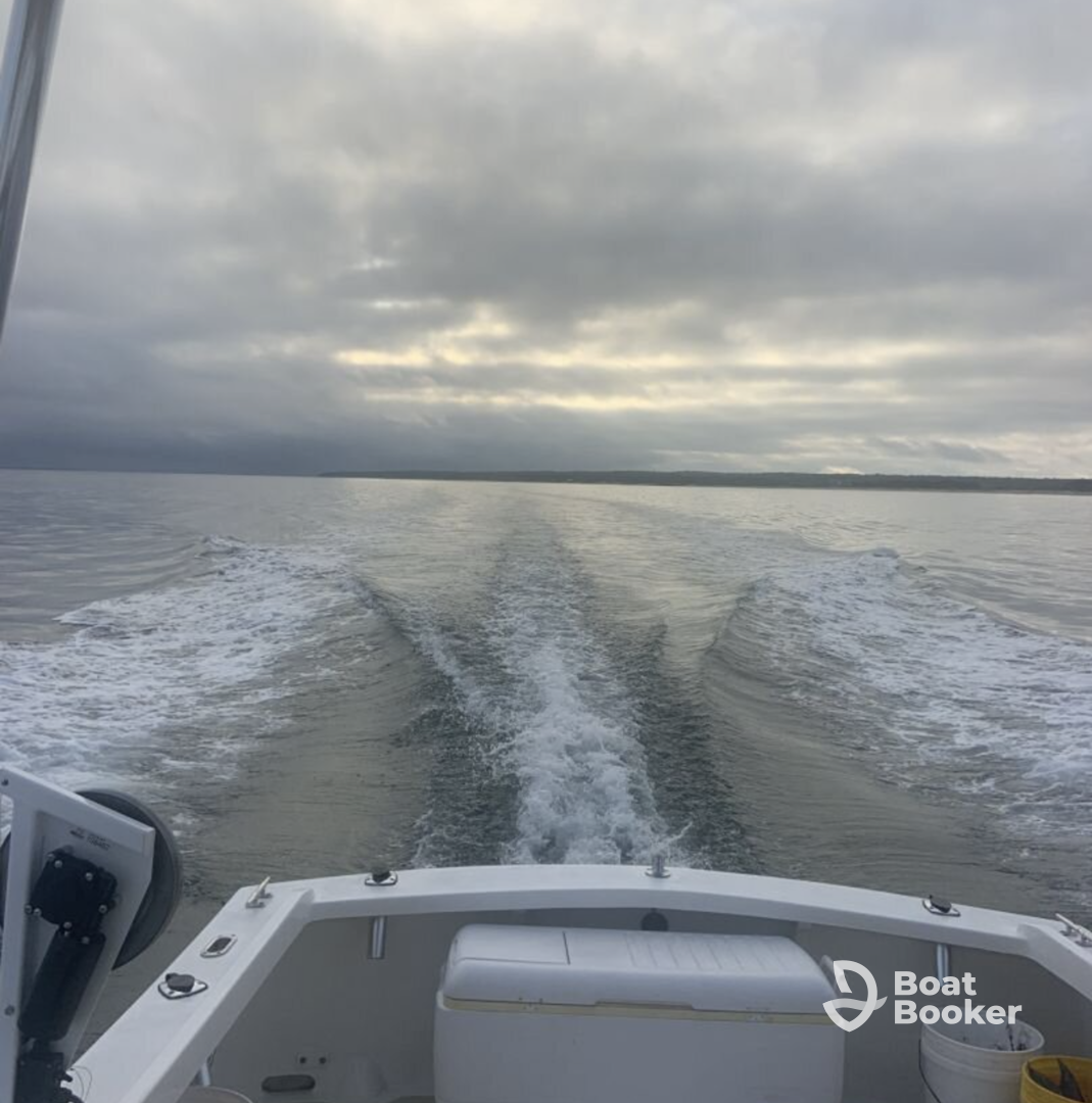 Vineyard Boat Charters with Capt. John Hobby