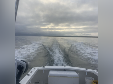 Vineyard Boat Charters with Capt. John Hobby