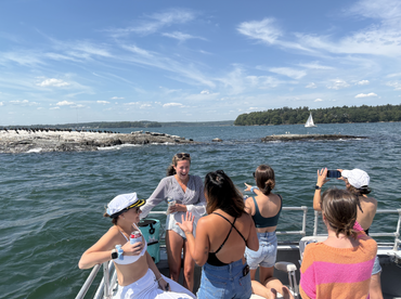 Boomerang Yacht Charters