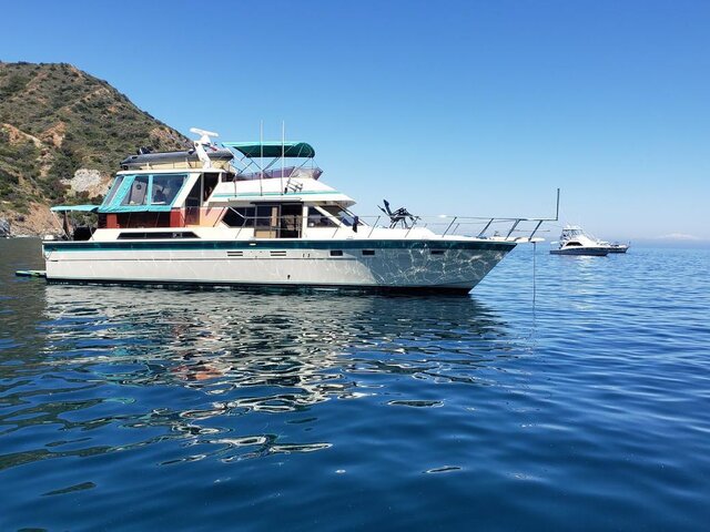 Listing image 1181589