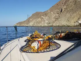 Charter Image
