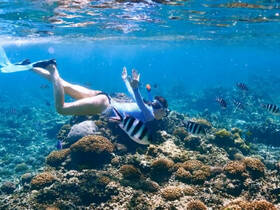 A snorkeler explores vibrant coral reefs teeming with colorful fish, showcasing the beauty of underwater adventures.