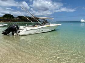 A sleek speedboat rests on the sandy shore, showcasing its design against a backdrop of clear turquoise waters — perfect for a day of adventure on the sea.